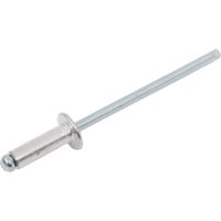 Заклепка, 3,2х10, (100шт)