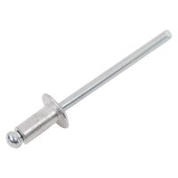 Заклепка, 4,8х 8, (100шт)