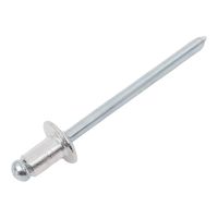 Заклепка, 4х 6, (100шт)