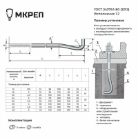 Фундаментный анкерный болт тип 1.2 (под заказ)